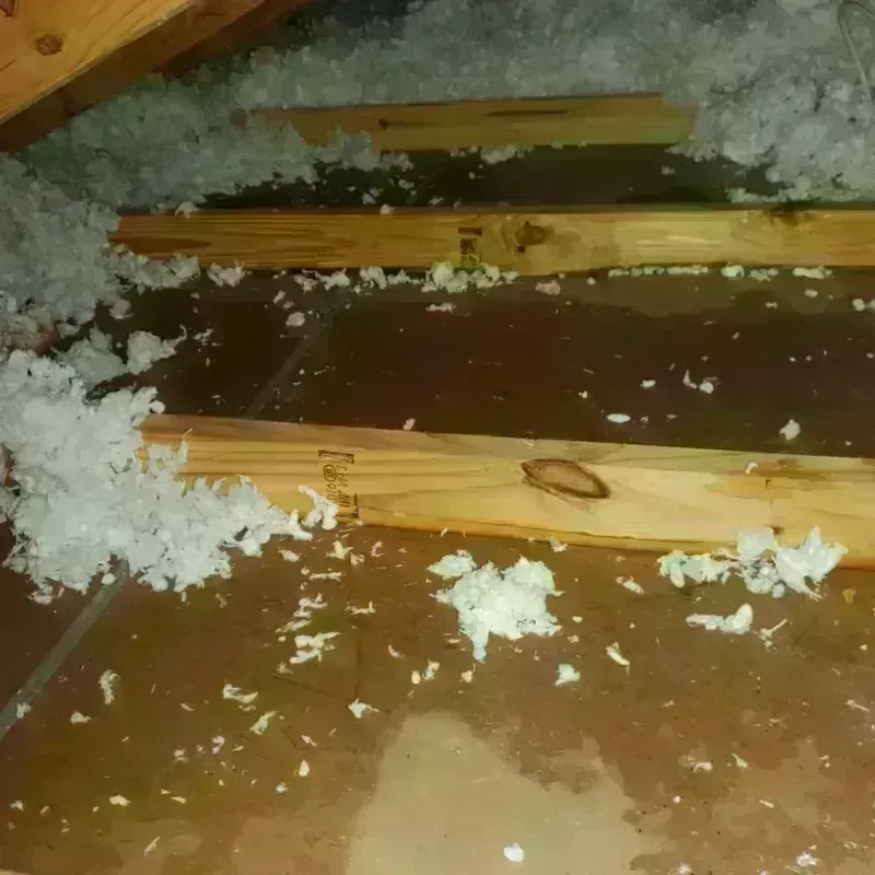 Attic Water Damage in Oquirrh, UT